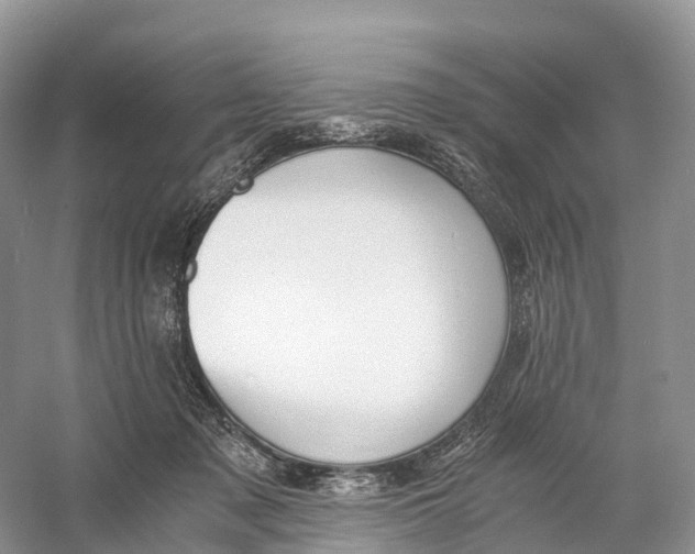 X0000060800317200512011740