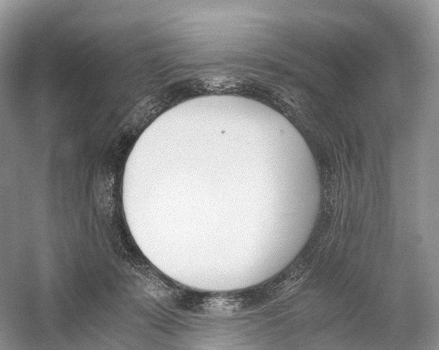 X0000060800319200512011740