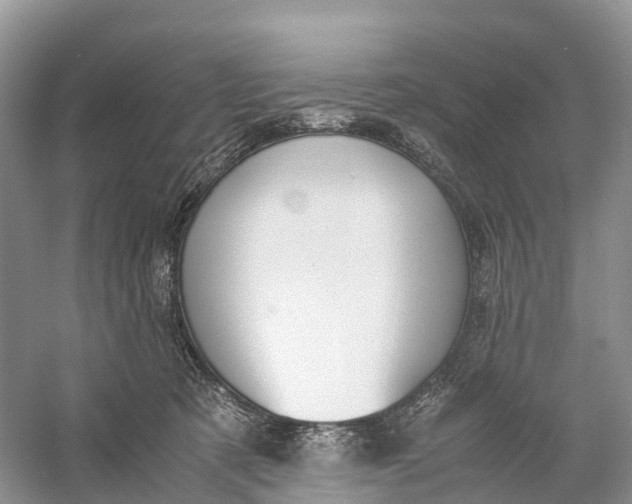 X0000060800321200512011740