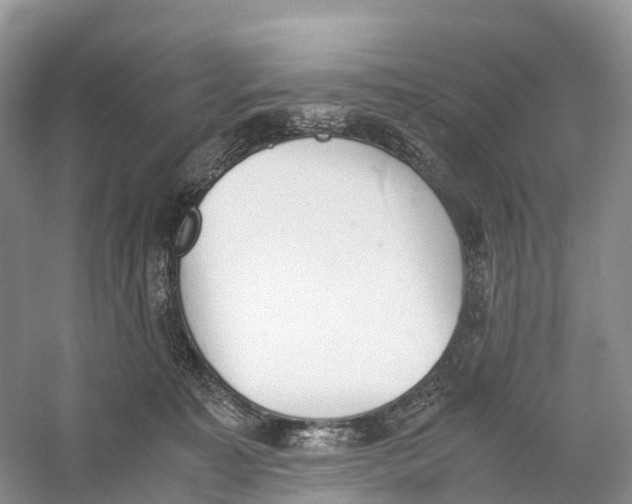 X0000060800323200512011740