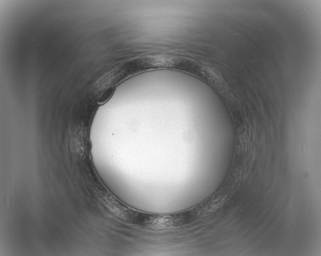 X0000060800325200512011740