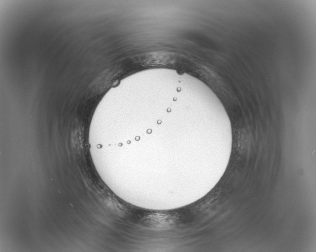 X0000060800326200512011740