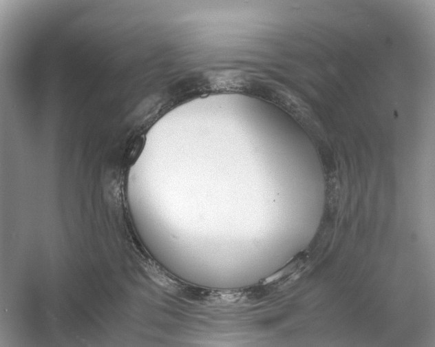 X0000060800329200512011740