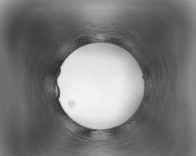 X0000060800331200512011740