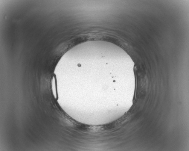 X0000060800333200512011740