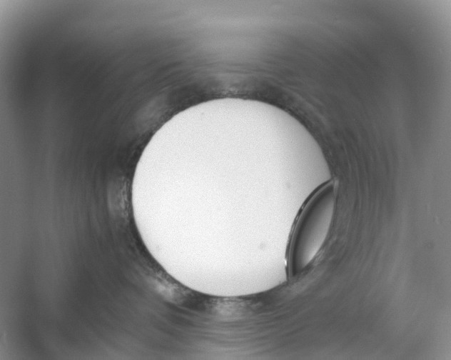 X0000060800336200512011739