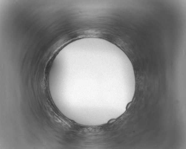 X0000060800338200512011739