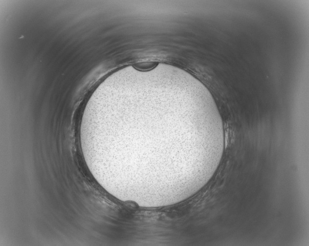 X0000060800339200512011739