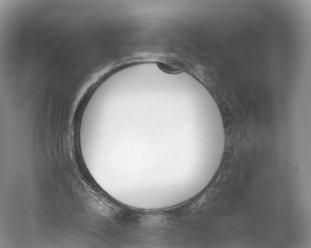 X0000060800342200512011739