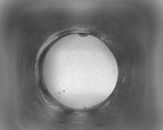 X0000060800343200512011739