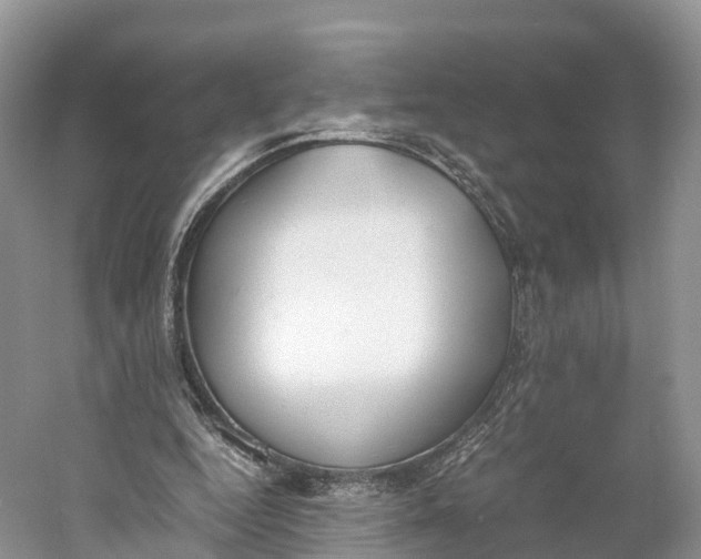 X0000060800344200512011739