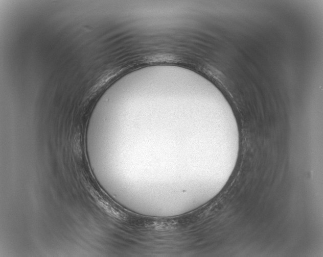 X0000060800345200512011739