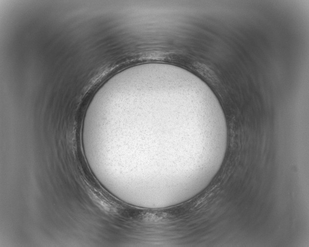 X0000060800346200512011739