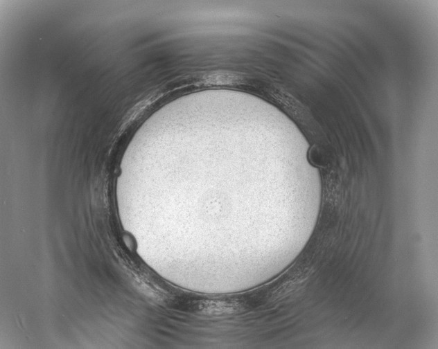 X0000060800347200512011739