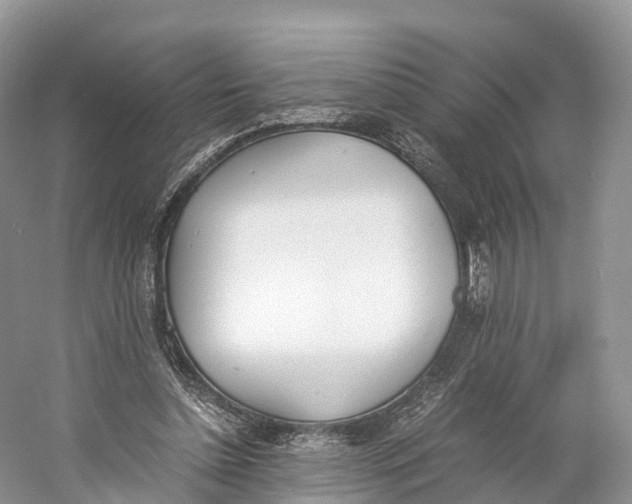 X0000060800348200512011739