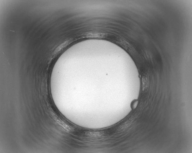 X0000060800349200512011739