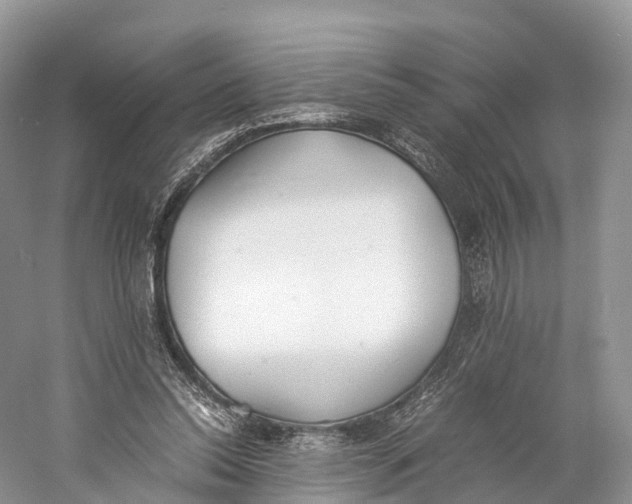 X0000060800350200512011739