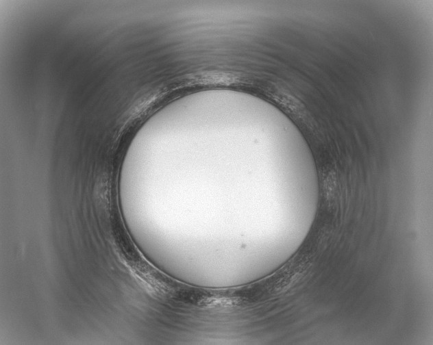 X0000060800352200512011739