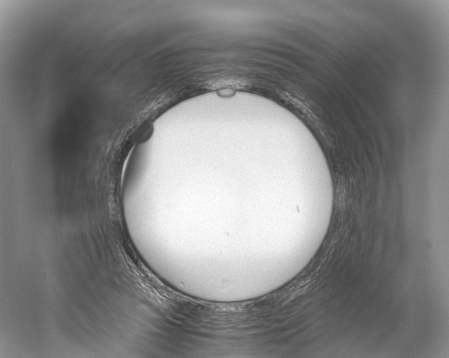 X0000060800353200512011739