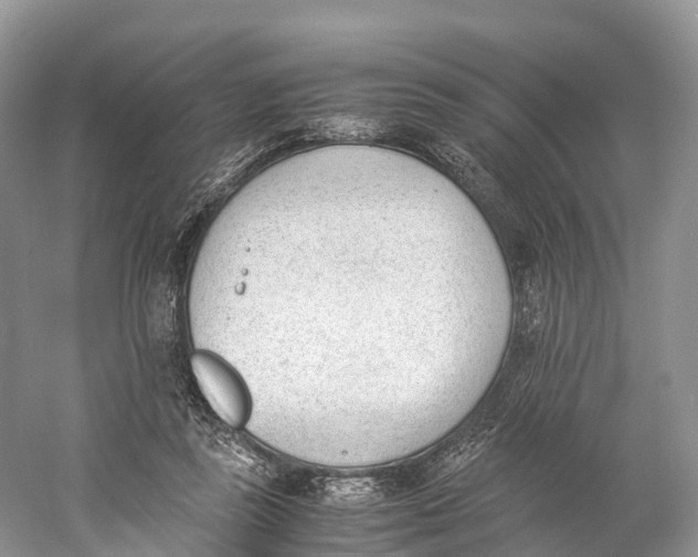 X0000060800355200512011739