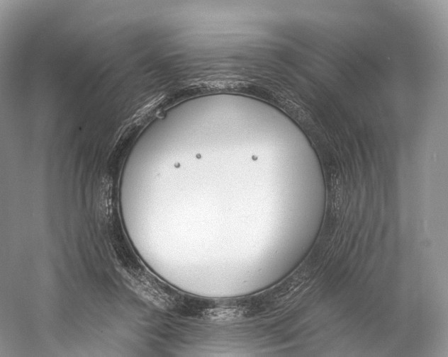 X0000060800356200512011739