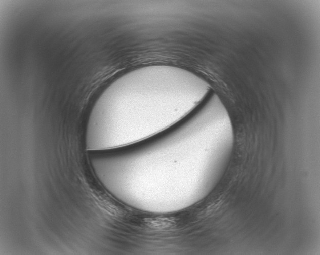 X0000060800359200512011739