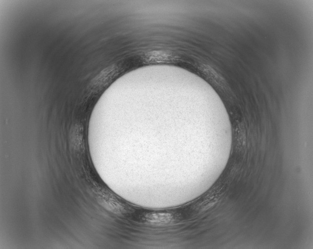 X0000060800361200512011739