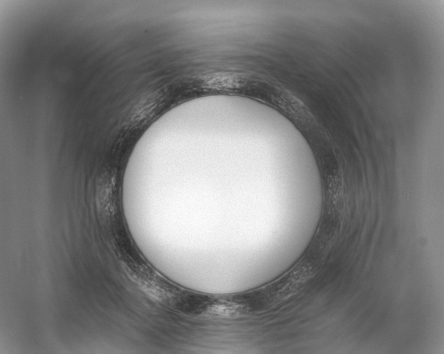 X0000060800364200512011739