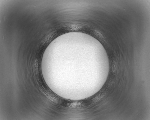 X0000060800366200512011739