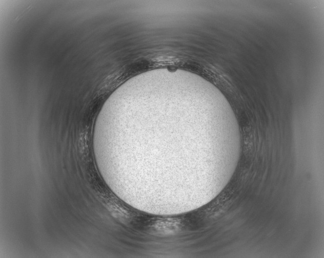 X0000060800369200512011739