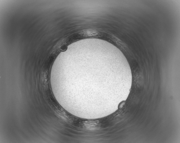 X0000060800373200512011739