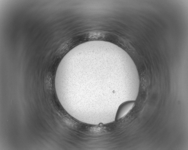 X0000060800375200512011739