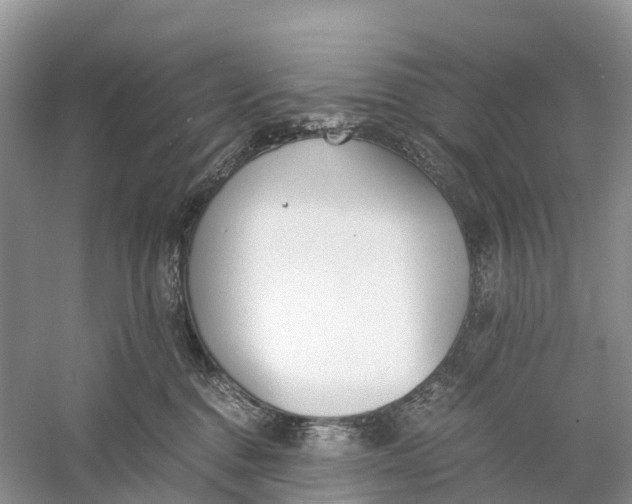 X0000060800376200512011739