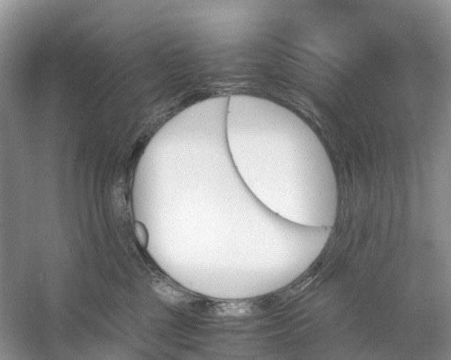 X0000060800377200512011739