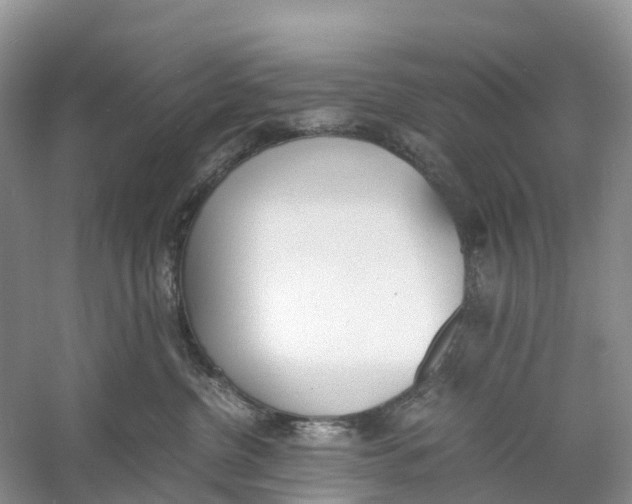 X0000060800380200512011739