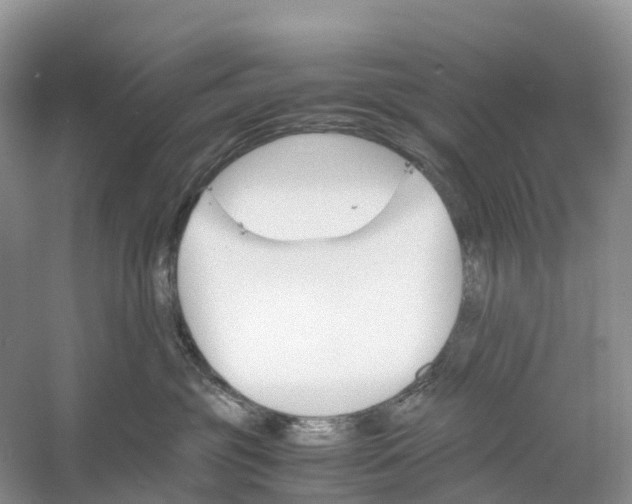 X0000060800381200512011739