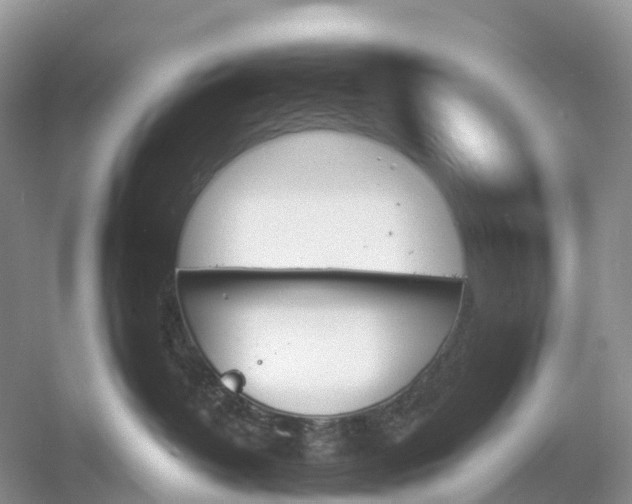 X0000060800382200512011739