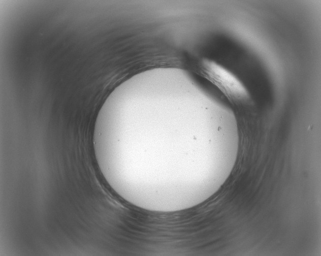 X0000060800383200512011739