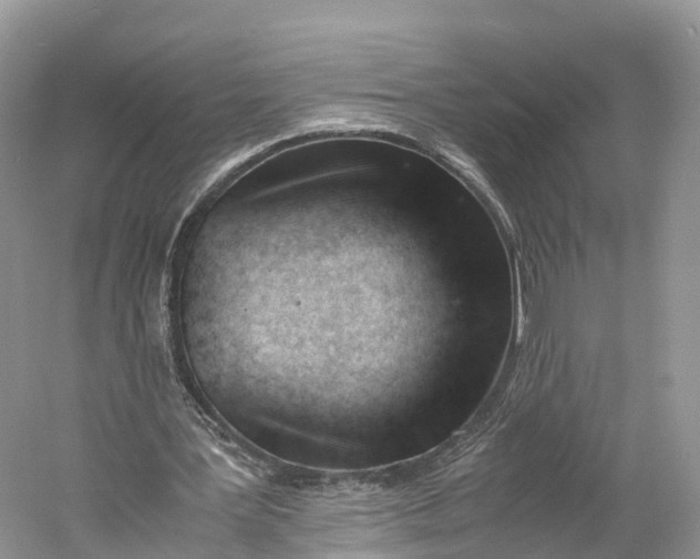 X0000060800387200512011738