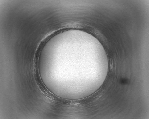 X0000060800388200512011738