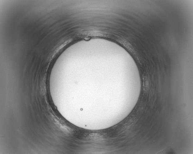 X0000060800390200512011738