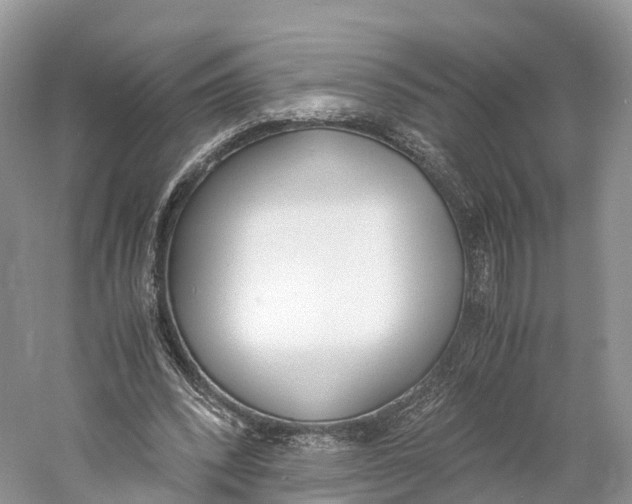 X0000060800392200512011738