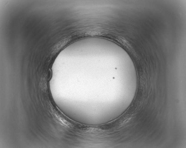 X0000060800393200512011738