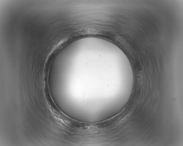 X0000060800395200512011738