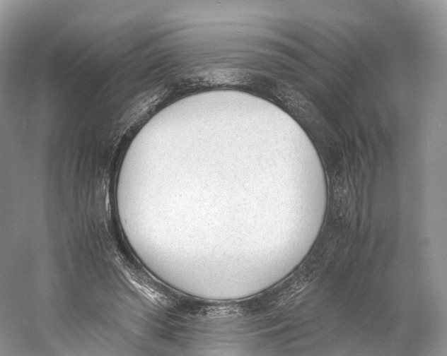 X0000060800398200512011738