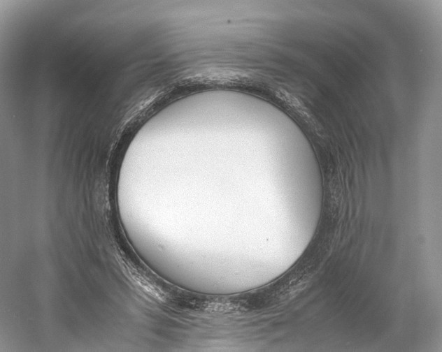 X0000060800399200512011738