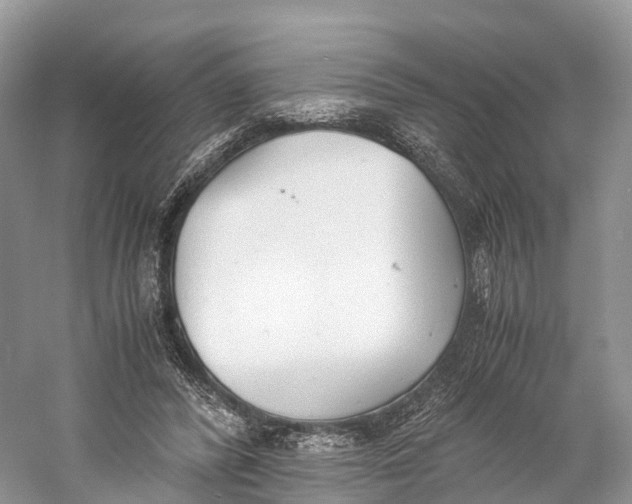 X0000060800400200512011738