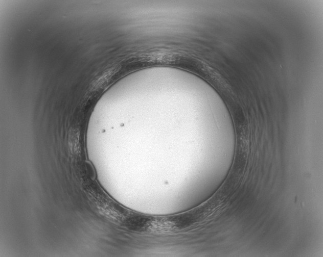 X0000060800403200512011738