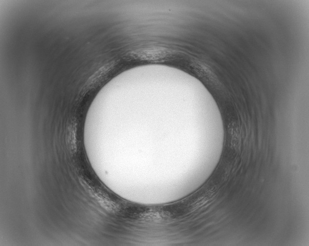 X0000060800404200512011738