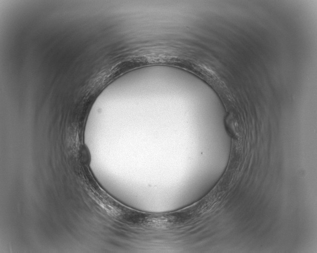 X0000060800405200512011738